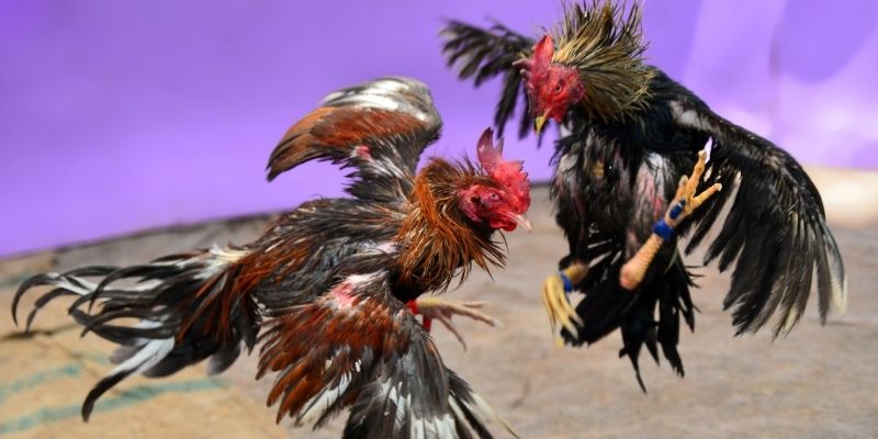 nổ hũ tiếng anh là gì