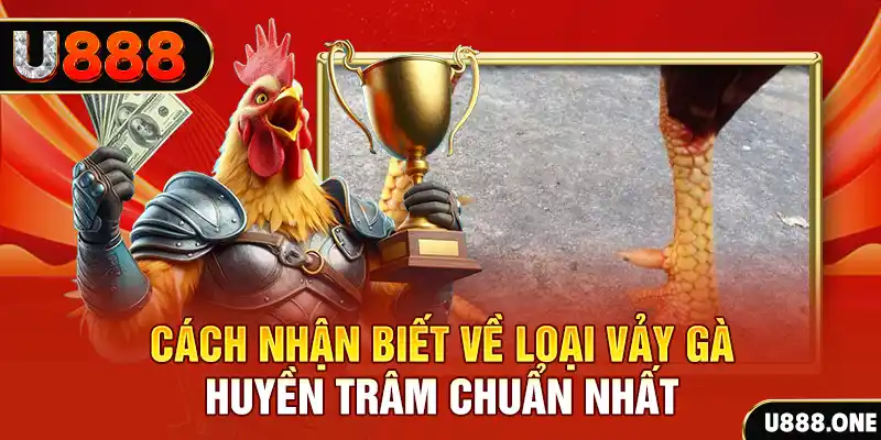 xsmb 500 Chú hề Patty tuổi teen