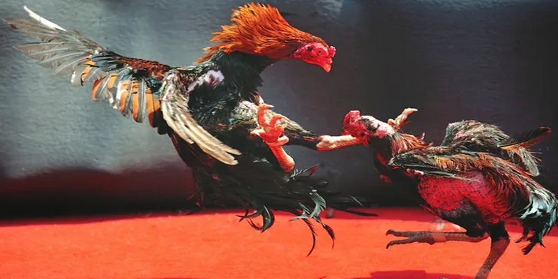 xsmb 500 đăng nhập nổ hũ số 1